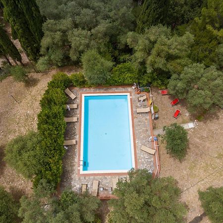 Villa I Tigli Campiglia Marittima Exteriér fotografie