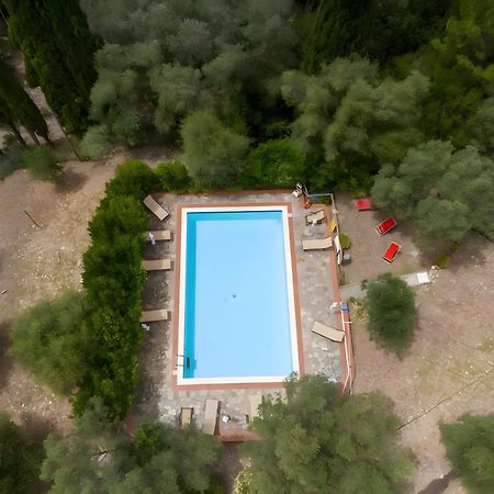 Villa I Tigli Campiglia Marittima Exteriér fotografie