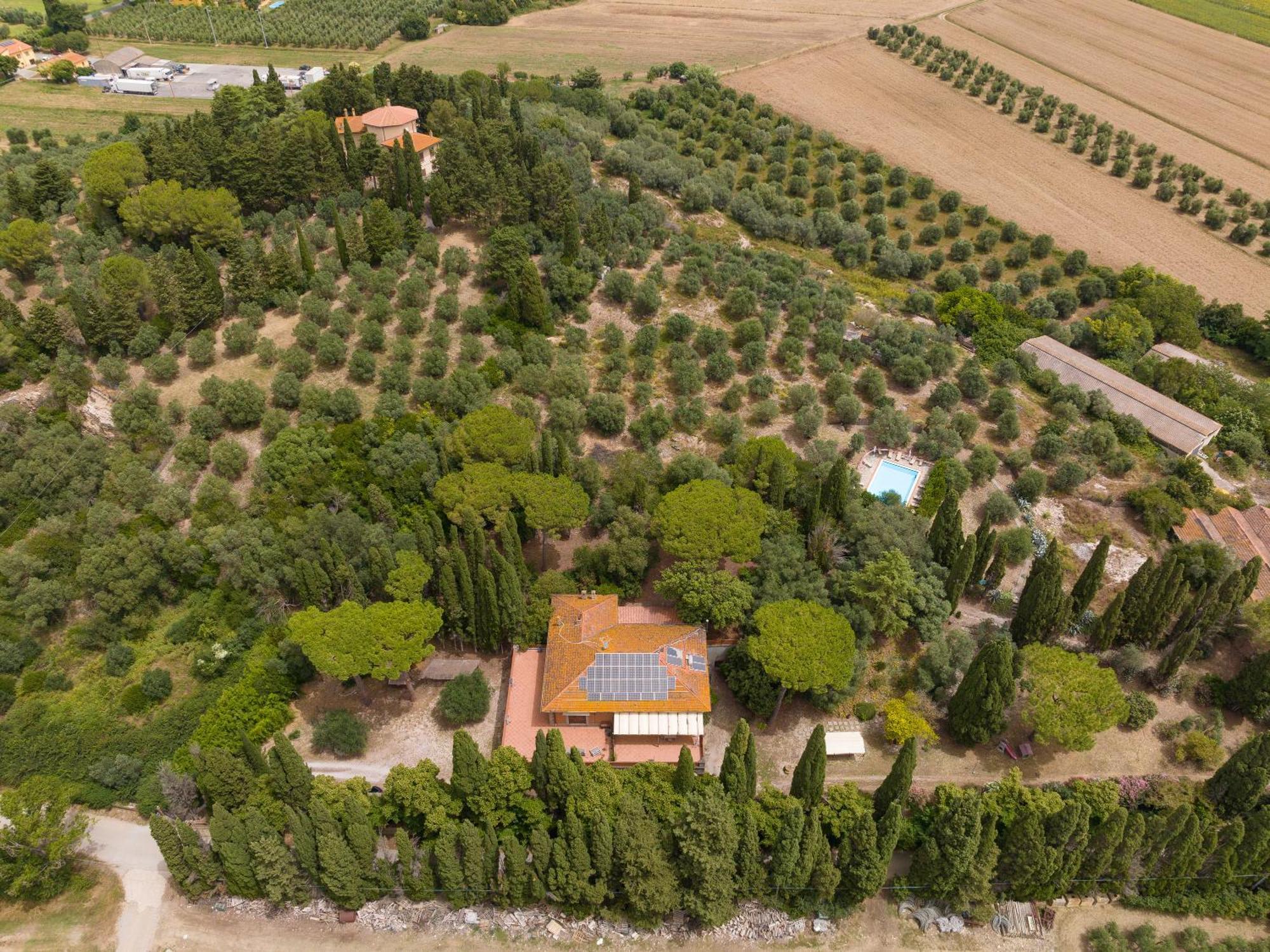 Villa I Tigli Campiglia Marittima Exteriér fotografie