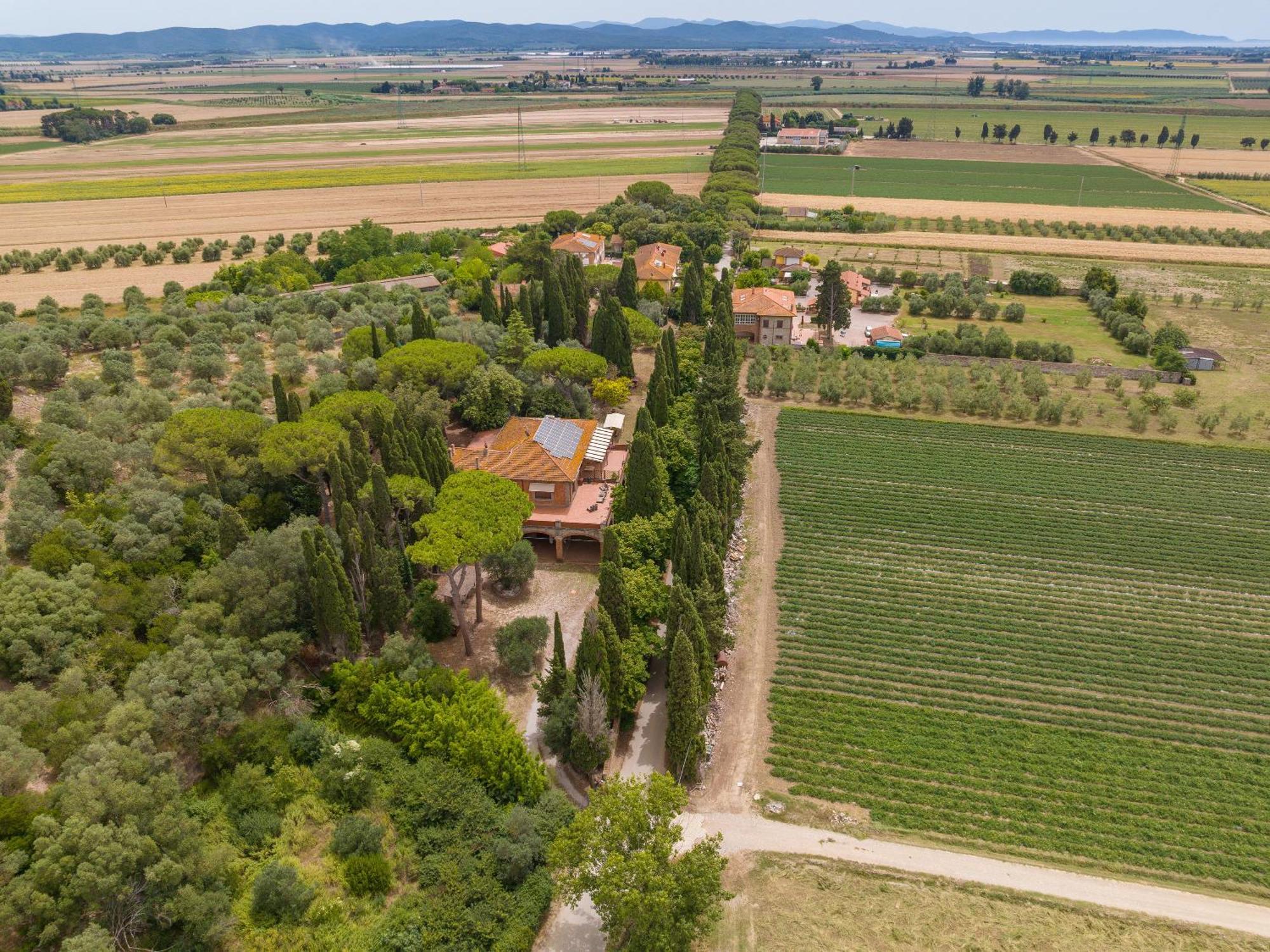 Villa I Tigli Campiglia Marittima Exteriér fotografie