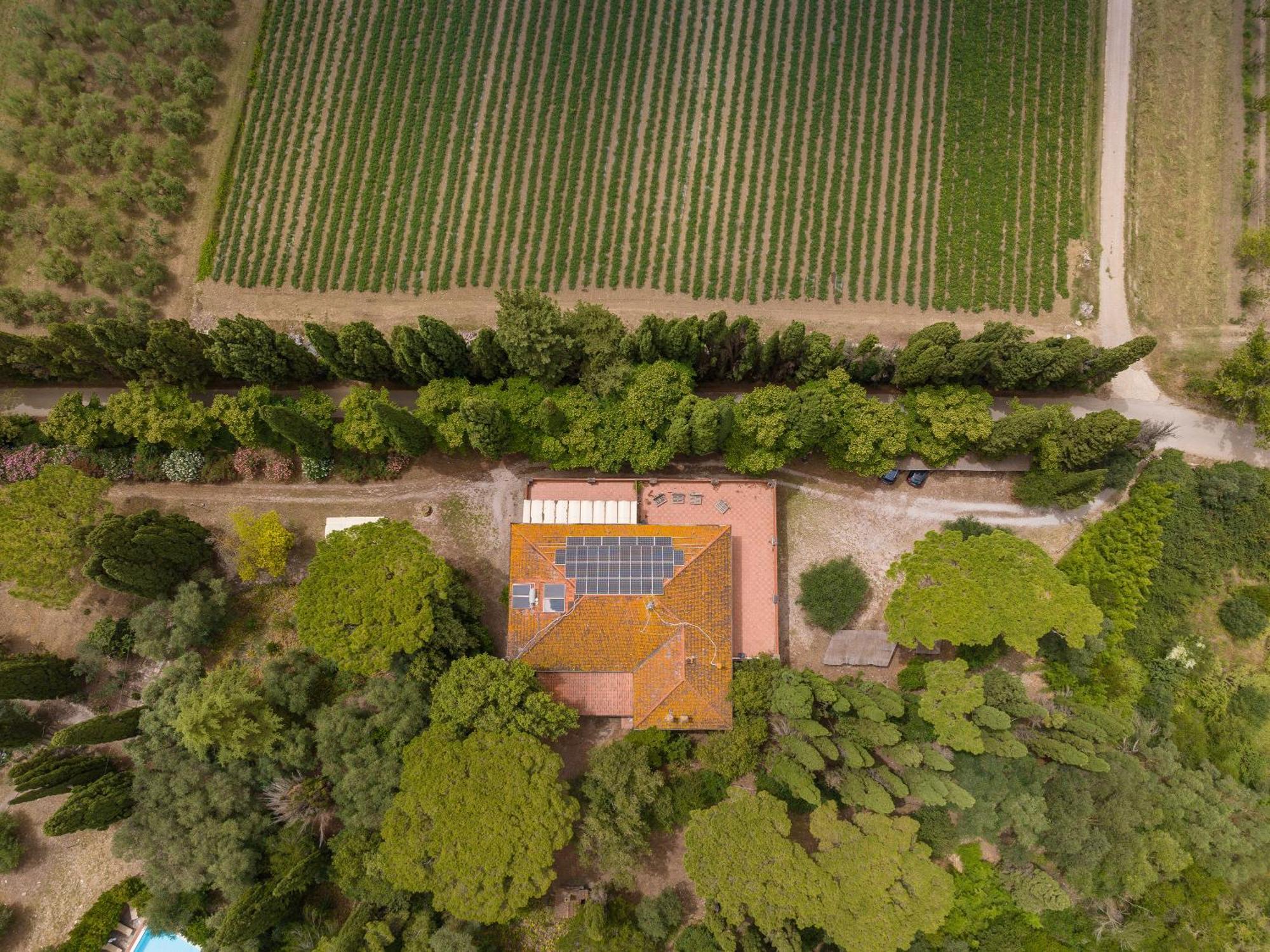 Villa I Tigli Campiglia Marittima Exteriér fotografie